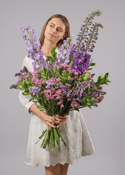 Midnight Muse type | Alissar Flowers