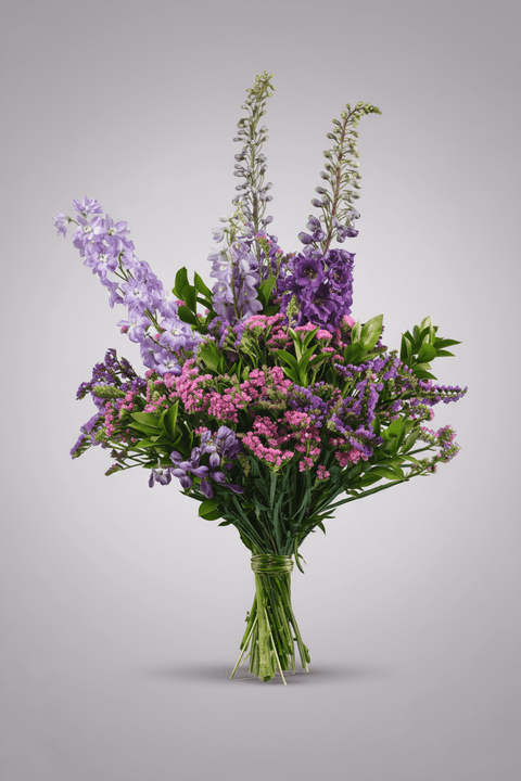 Midnight Muse type | Alissar Flowers