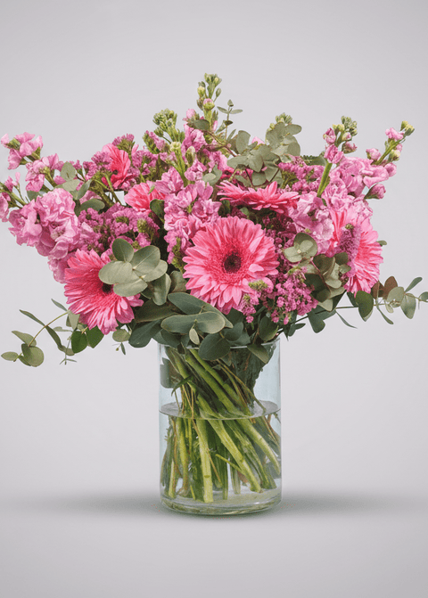 Moonlit Serenade type | Alissar Flowers