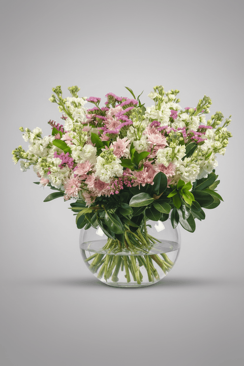 Morning Dew type | Alissar Flowers