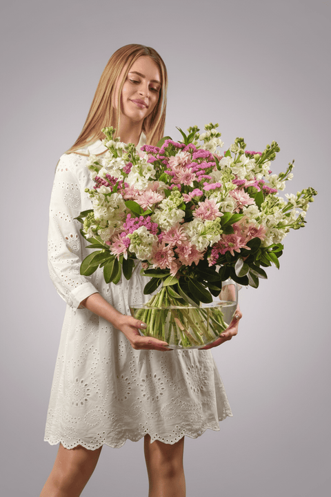 Morning Dew type | Alissar Flowers