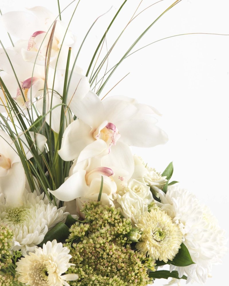 Neige Serenade|Flowers in a Vase - Alissar Flowers Amman