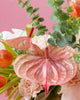 Orange Creamsicle|Arrangement - Alissar Flowers Amman