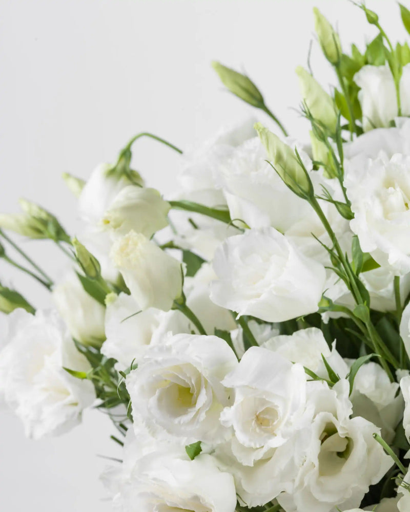 Palestine's Resilience - Alissar Flowers Amman