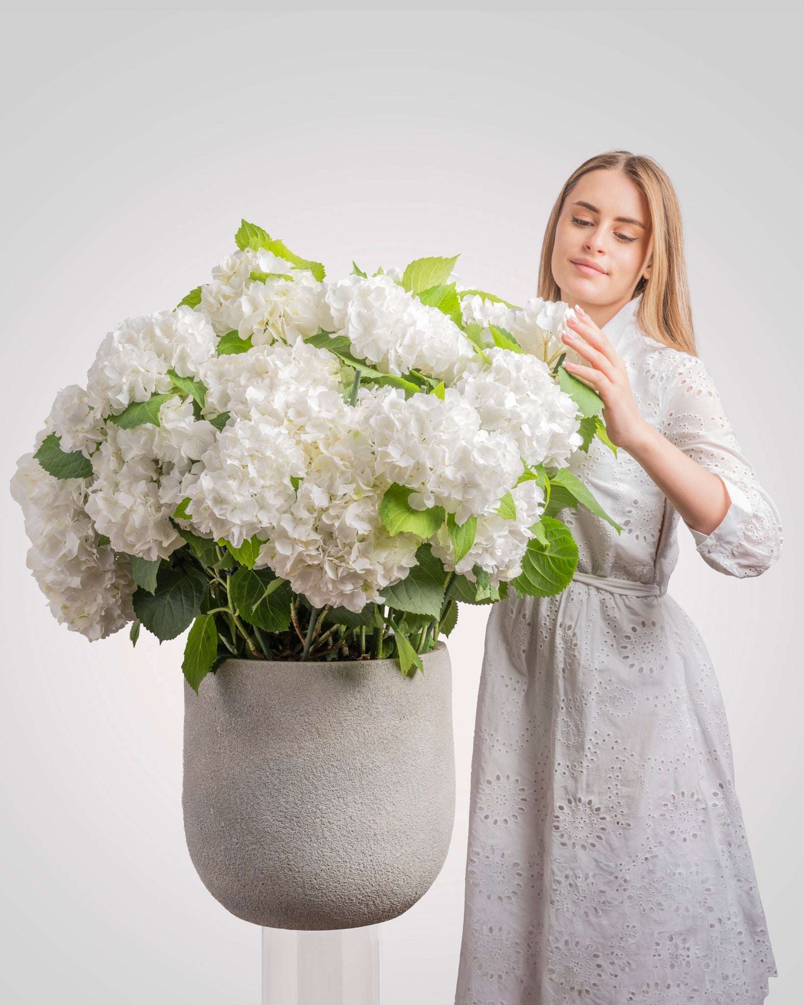 Pearl type | Alissar Flowers