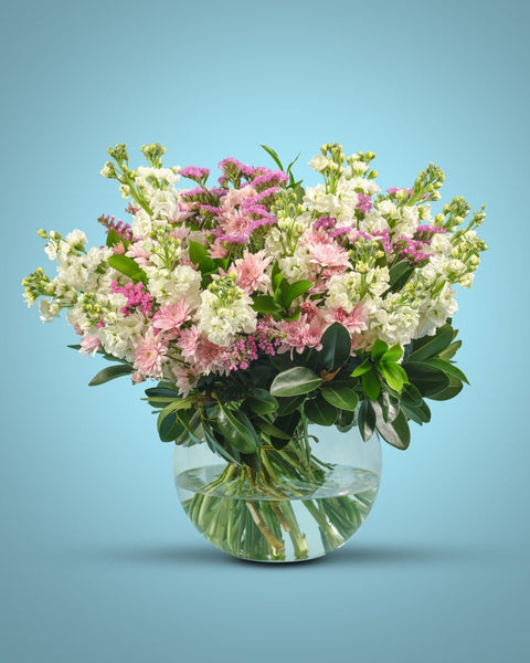 Pure Bloom type | Alissar Flowers