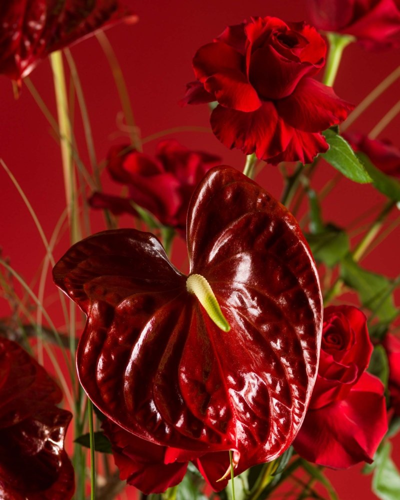 Red Kiss|Valentine's Day - Alissar Flowers Amman