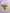Rooted & Radiant|Graduation - Alissar Flowers Amman