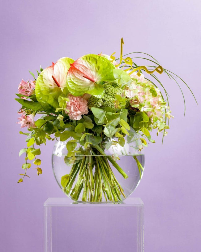 Rooted & Radiant|Graduation - Alissar Flowers Amman