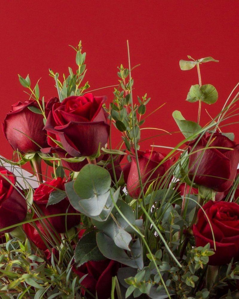 Rosa Divina|Valentine's Day - Alissar Flowers Amman