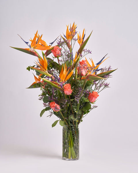 Sun - Kissed Silhouette type | Alissar Flowers