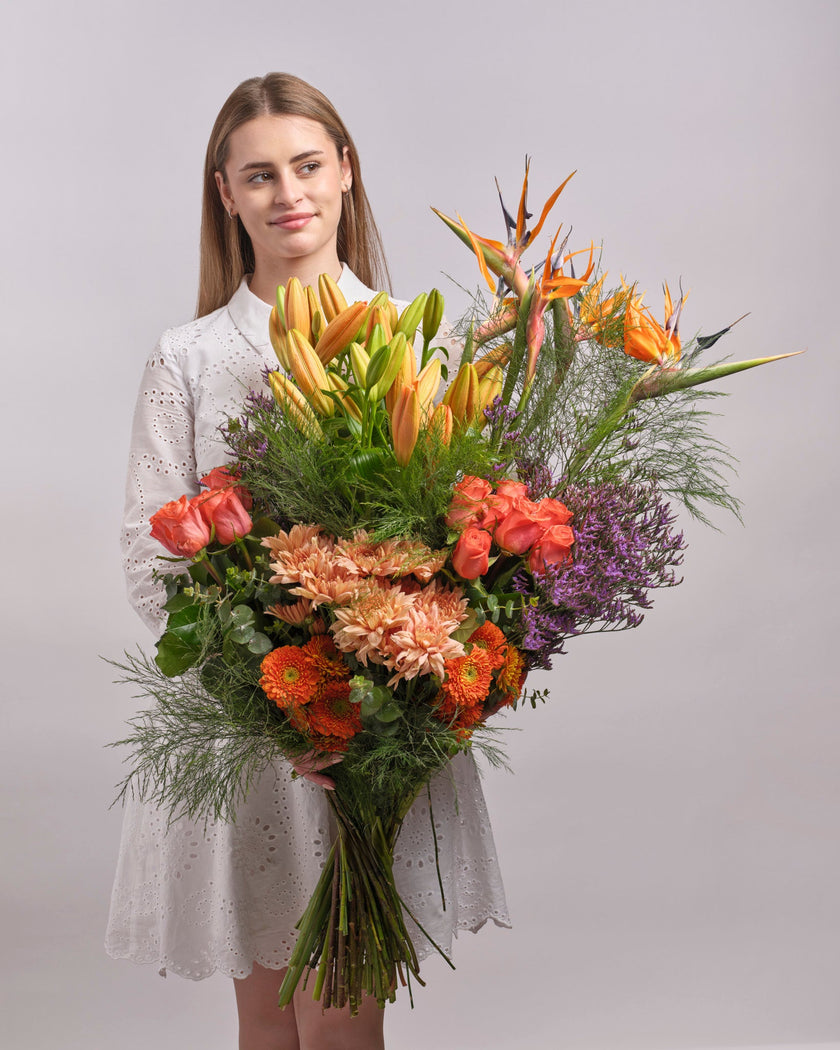 Sunset Solstice type | Alissar Flowers