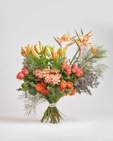 Sunset Solstice type | Alissar Flowers