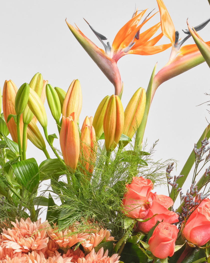 Sunset Solstice type | Alissar Flowers