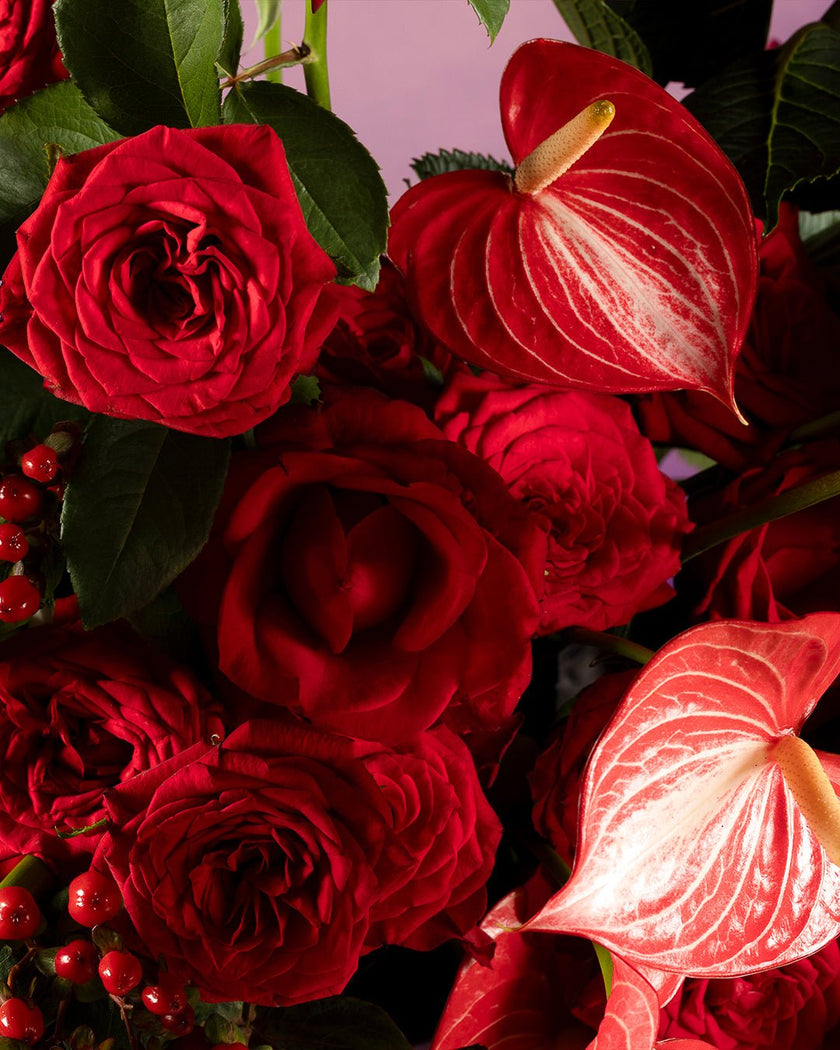 Sweet Escape type | Alissar Flowers