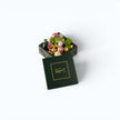 Swia - 1 Kg Real Belgian Chocolate Box type | Alissar Flowers