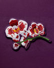 The Confident One type | Alissar Flowers