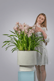 The Emerald Guardian type | Alissar Flowers