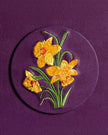 The Radiant One type | Alissar Flowers