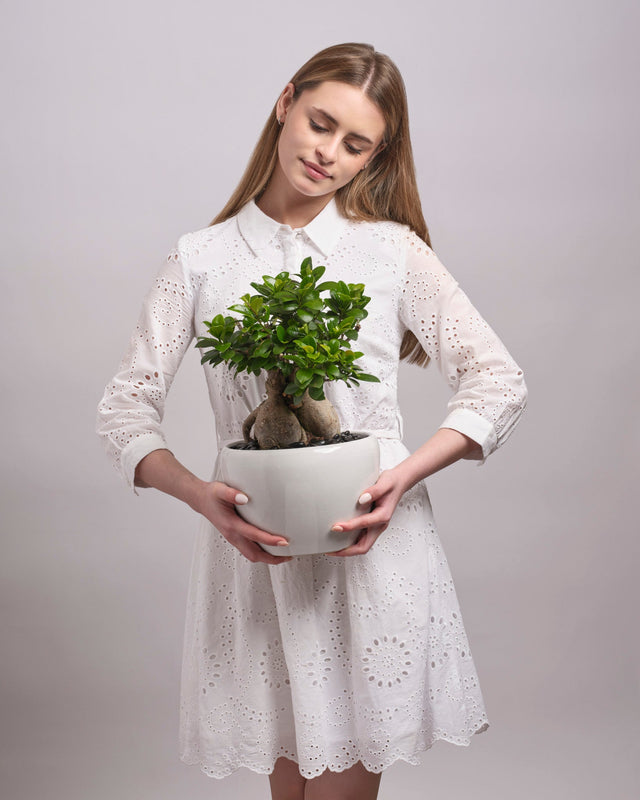 The Silent Guardian type | Alissar Flowers