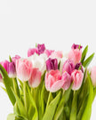 Tuliply Yours|Cardboard Box - Alissar Flowers Amman