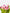 Tuliply Yours|Cardboard Box - Alissar Flowers Amman