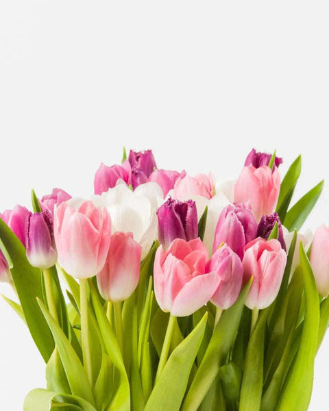 Tuliply Yours|Cardboard Box - Alissar Flowers Amman