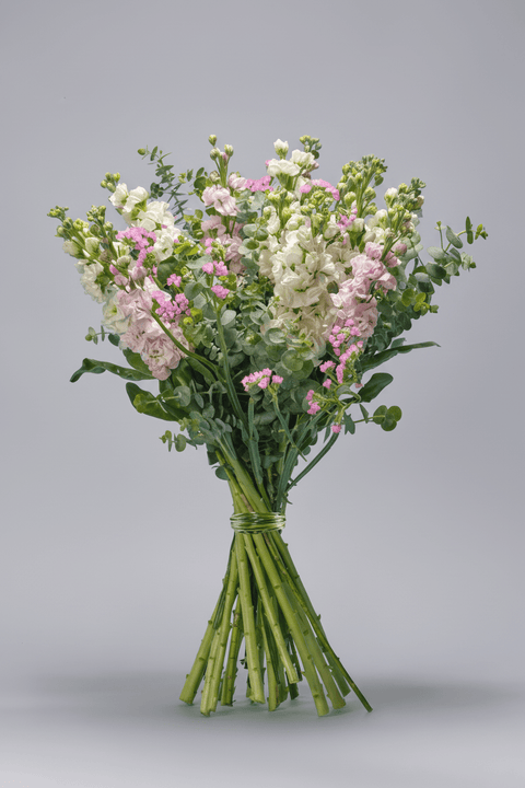 Urban Zen type | Alissar Flowers