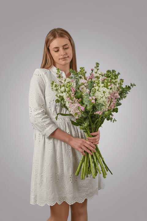 Urban Zen type | Alissar Flowers