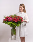 Velvet Dusk type | Alissar Flowers