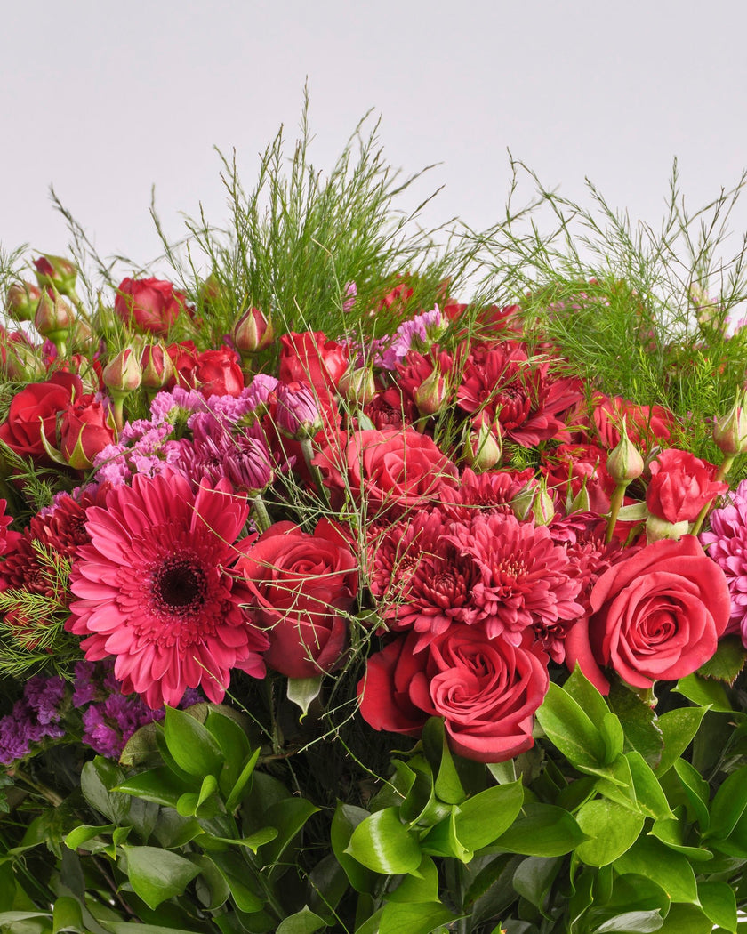 Velvet Dusk type | Alissar Flowers