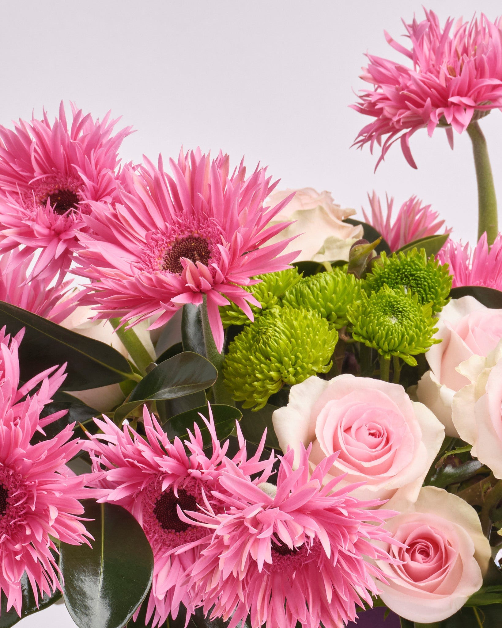 Whisper of Pink type | Alissar Flowers
