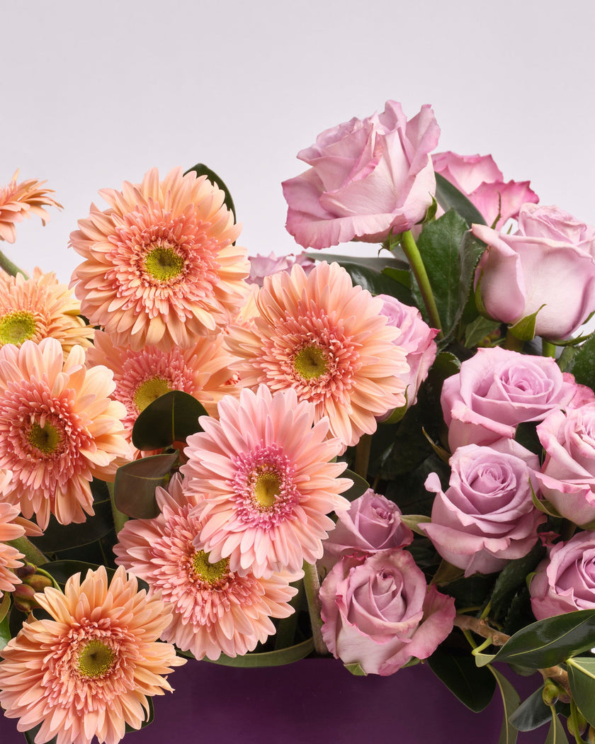 Whispering Peach type | Alissar Flowers