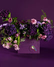 Wild at Heart type | Alissar Flowers