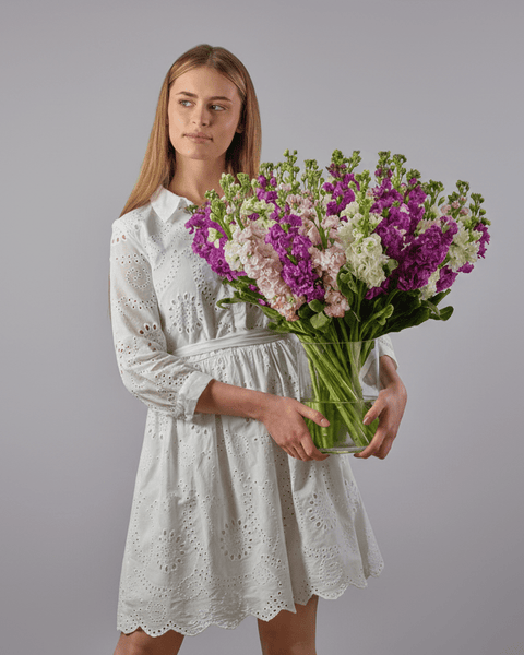 Wildflower Meadow type | Alissar Flowers