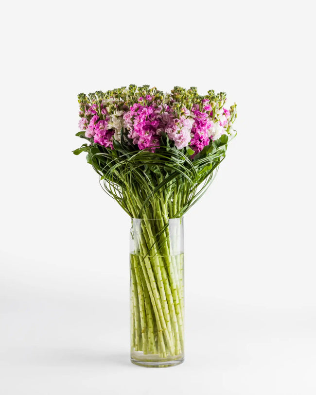 Aurora Adagio|Flowers in a Vase - Alissar Flowers Amman