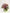 Hold Me Close|Hand Bouquet - Alissar Flowers Amman
