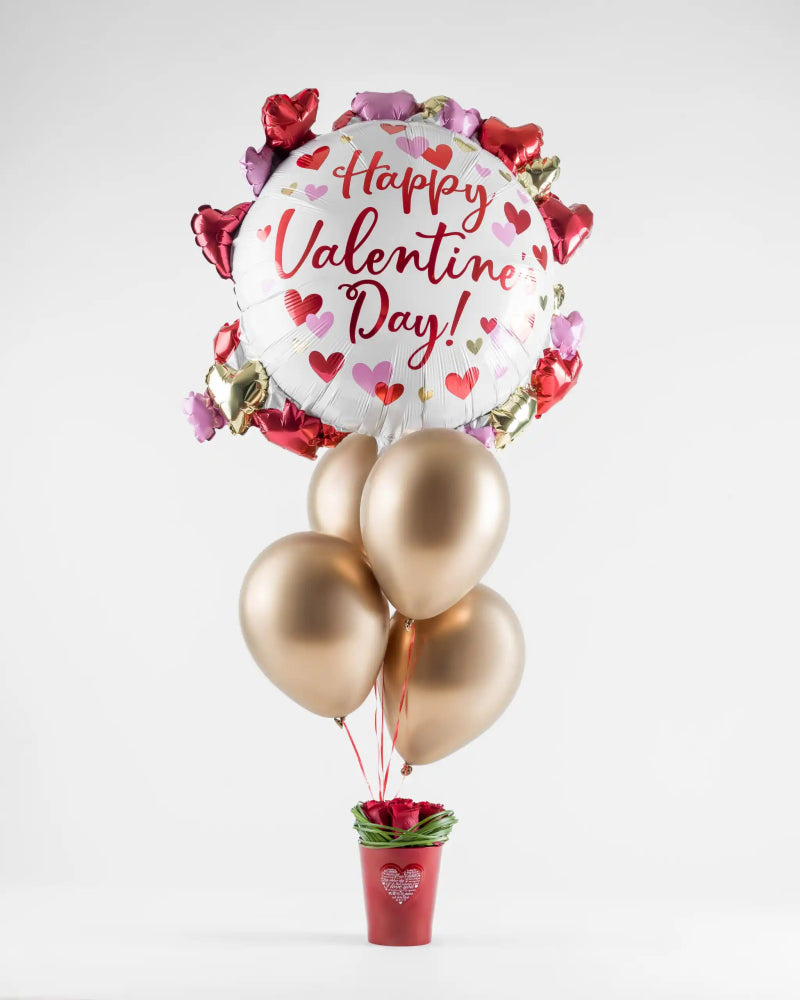 All Alissar Flowers Amman